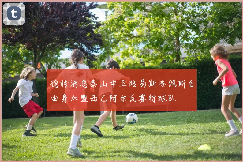 德转消息泰山中卫路易斯洛佩斯自由身加盟西乙阿尔瓦赛特球队